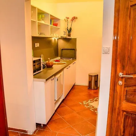 Tomas Apartment *